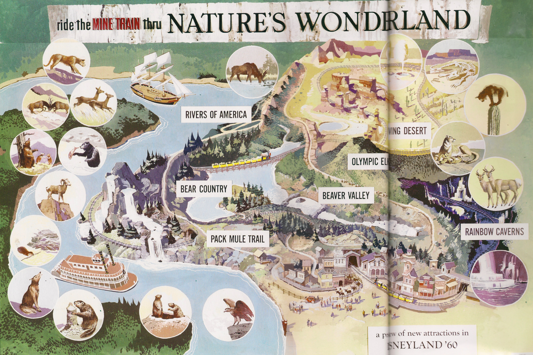 Imagineering-Disney_Natures-Wonderland_map-2.jpg